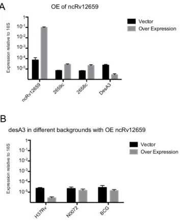 Figure 6. Expression analysis by qRT-PCR. Panel A shows the levels of ncRv12659, Rv2659c, Rv2658c and desA3 in the overexpression strain compared to strain with empty vector control
