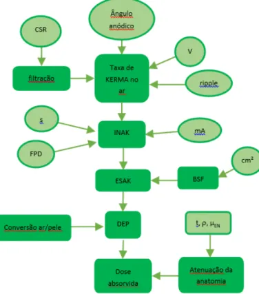 Figura 1. Fluxograma de cálculo da estimativa de dose absorvida. 