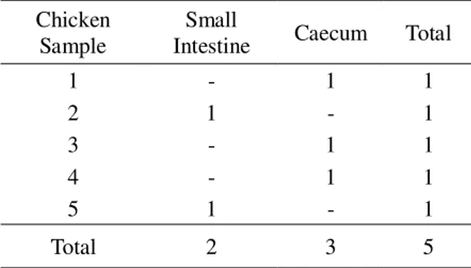 Table 2. The Isolate of Fungi from Gastrointestinal  Tract of One Week Old Chicken 