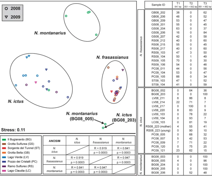 Figure 4. Graphical and tabular presentation of ARISA results. Left: Non-metric multidimensional scaling (NMDS) plot, in which each data point represents the Thiothrix ectosymbiont community structure associated with one Niphargus individual