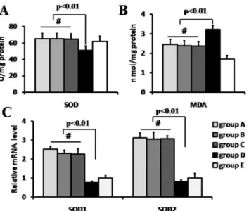 Fig 2. Antioxidative stress reaction and gene expression. The level of anti-oxidative stress(A) and lipid peroxidation(B) at 3 days after myocardium reperfusion (n = 4)