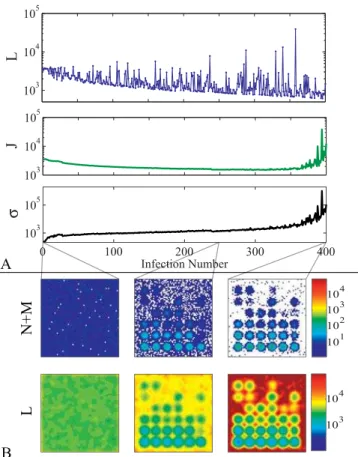Figure 3 illustrates the cumulative statistical distribution of loss sizes obtained by combining data from 600 simulations of the form illustrated in Figure 2