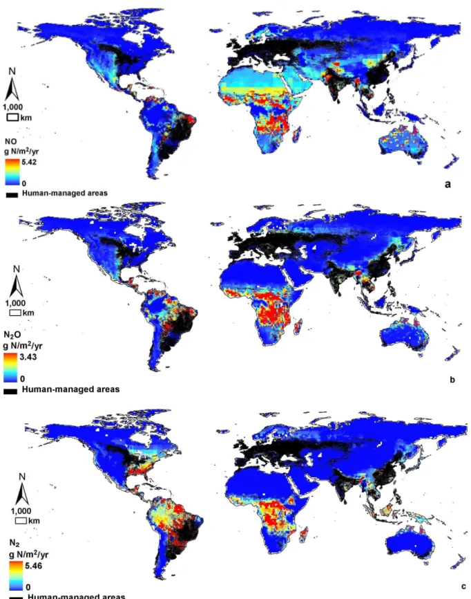 Fig. 8. Global patterns of NO (a), N 2 O (b), and N 2 (c) from unfertilized soils.