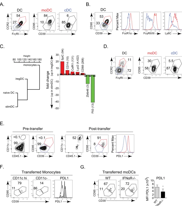 Fig 4. Suppressive iregDC are of monocyte origin. A. Flow plots show CCR2 and FcγRI expression on splenic CD11b+ DCs on day 9 after LCMV-Cl13 infection