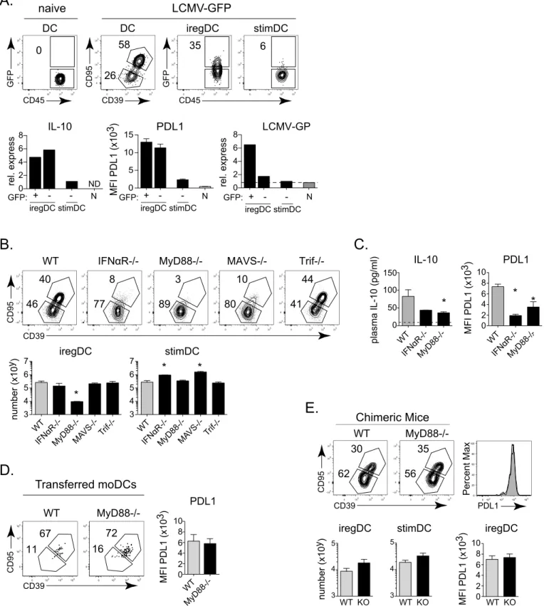 Fig 5. iregDC extrinsic MyD88 signaling, but not direct LCMV infection or IFNβ signaling is required for iregDC differentiation