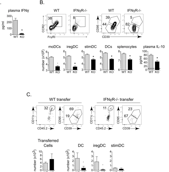 Fig 6. Monocytes require direct IFNγR signaling for DC differentiation throughout persistent virus infection