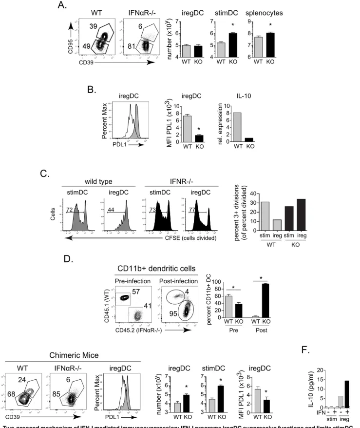 Fig 3. Two-pronged mechanism of IFN-I mediated immunosuppression: IFN-I programs iregDC suppressive functions and limits stimDC