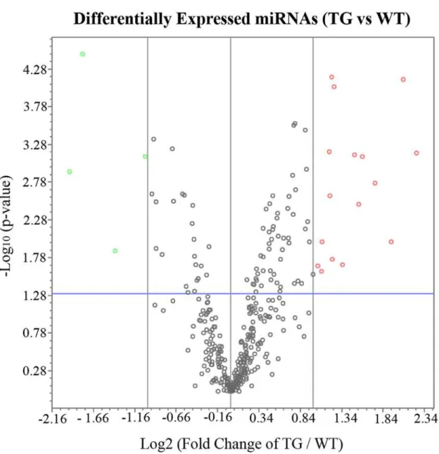 Fig 1. Volcano Plot of Differentially Expressed miRNA in after Selective Müller cell ablation