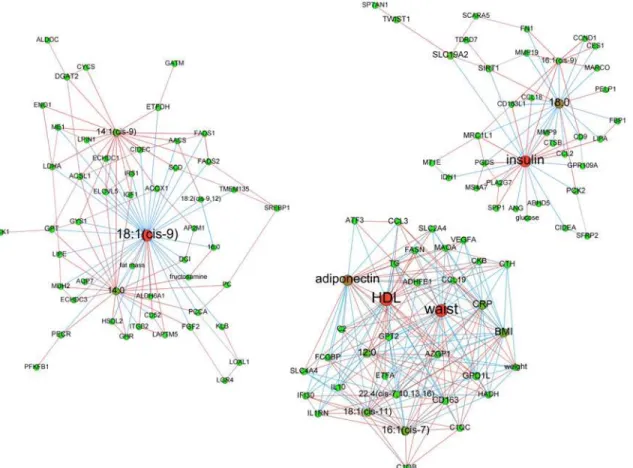 Figure 3. Baseline adipose tissue networks of obese women. A sparse Graphical Gaussian Model (GGM) was used to estimate partial correlations in each set of variables and regularized canonical correlation analysis (CCA) was used to assess links between pair