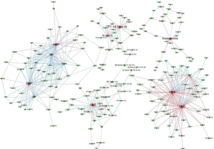 Figure 5. Adipose tissue networks during maintenance phase in women regaining weight. A sparse Graphical Gaussian Model (GGM) was used to estimate partial correlations in each set of variables and regularized canonical correlation analysis (CCA) was used t