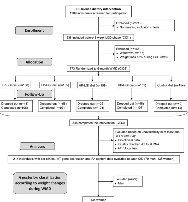 Figure 1. Flowchart for individuals’ selection from the DiOGenes cohort. Participants entering subsequent phases of the study as well as dropouts are indicated in total