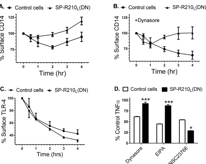 Fig 9. Effect of SP-R210 L disruption on CD14 and TLR-4 internalization and signaling