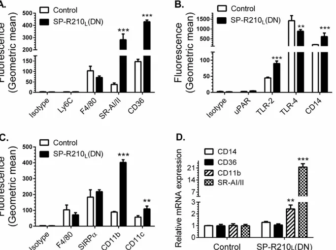 Fig 2. Depletion of SP-R210 L differentially enhances expression of innate immune receptors in macrophages