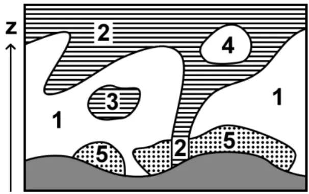 Fig. 1. The 3-D labelling algorithm assigns labels from 1 to 5 to ev- ev-ery grid point based on PV, 2, and the “connectivity” to the top of the ERA-Interim data set or the surface