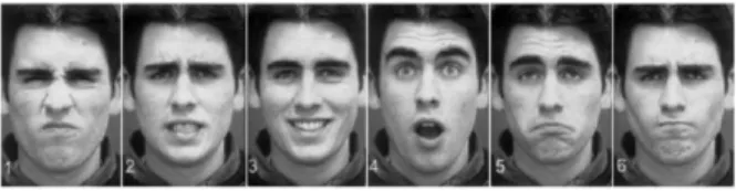 Figura 1: Seis expressões faciais emocionais básicas: (1) repulsa, (2)  medo, (3) alegria, (4) surpresa, (5) tristeza e (6) raiva