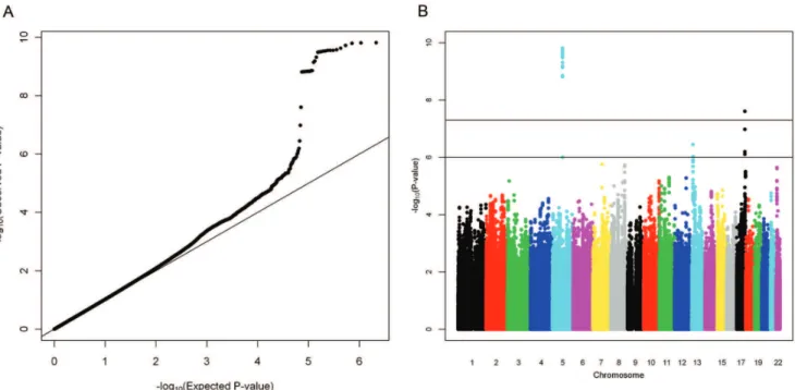 Figure 1. A) QQ-plot of –log 10 (observed P -values) against –log 10 (expected P -values) and B) Manhattan plot of –log 10 transformed P - -values of retinal arteriolar caliber against their physical position.