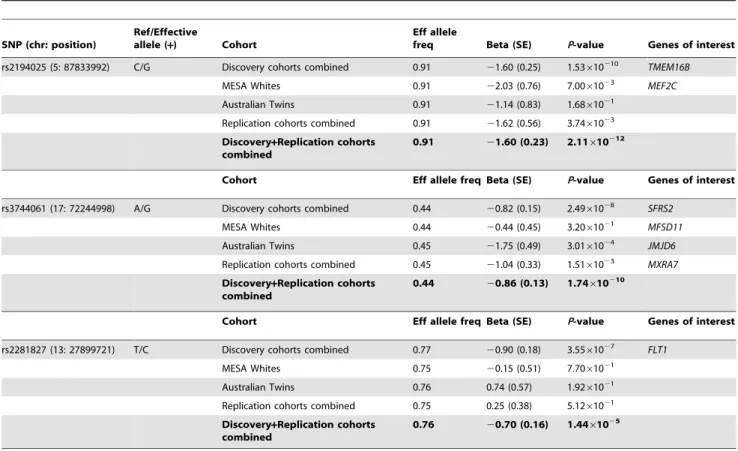 Table 3. Results for retinal arteriolar caliber for discovery cohort meta-analysis and replication cohorts.