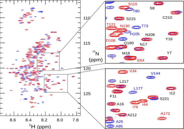 Fig 2. 1 H, 15 N heteronuclear single-quantum correlation spectra of 3D7 (blue) and FC27 (red) MSP2