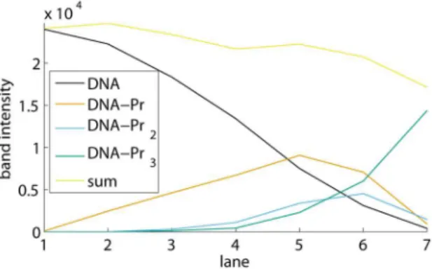 Figure 9. Relation between amount of protein and band intensity for a stained protein gel.