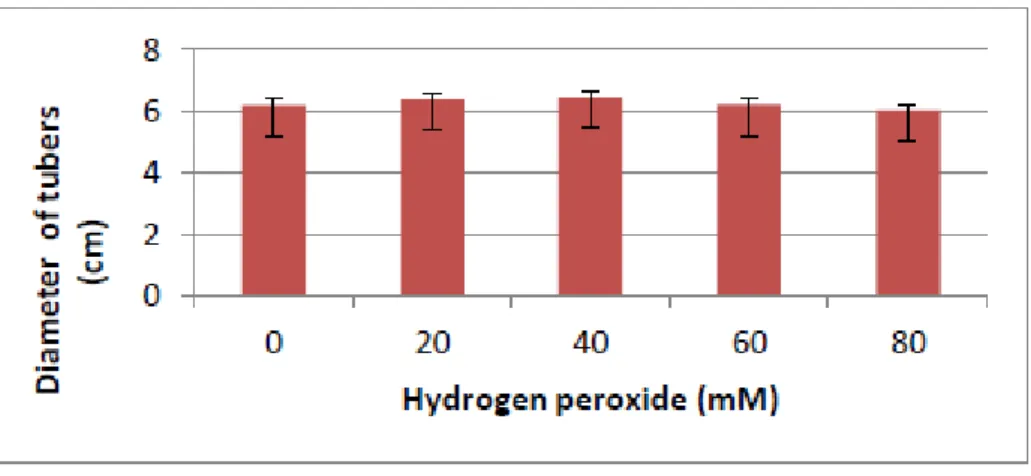 Figure 10. Effect of hydrogen peroxide (20, 40, 60 and 80 mM) on diameter of potato tubers, var
