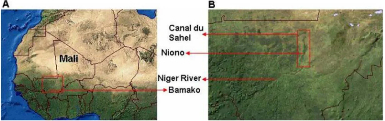 Figure 1. Map of West Africa. Panel A: The Sahara desert and the savannah occupy the northern and southern landscape, respectively, while the Sahel comprises the intermediate fringe zone