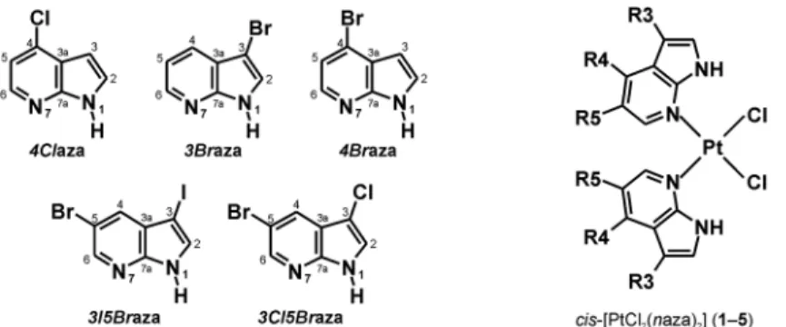 Fig 1. Structural formula of the studied complexes cis-[PtCl 2 (naza) 2 ] (1–5) and 7-azaindole derivatives used for their preparation
