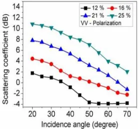 Figure 1. Angular variation of scattering coefficient at HH- polarization  