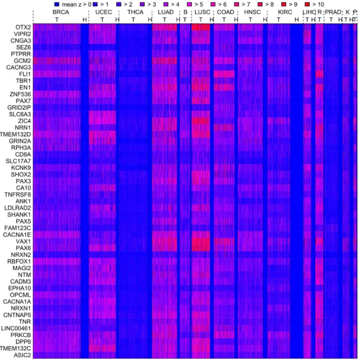 Figure 3. Heatmap of the mean z-score for the top 50 genes found by the meta-analysis