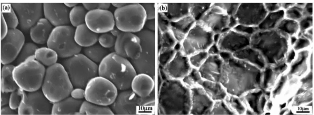 Fig. 6 SEM micrographs of synthesized products after heat treatment at 800  ◦ C for 2h
