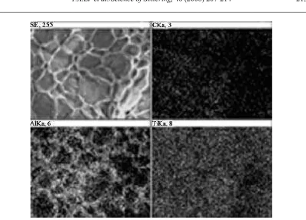 Fig. 7 Elemental distribution maps of Fig. 6(b). 