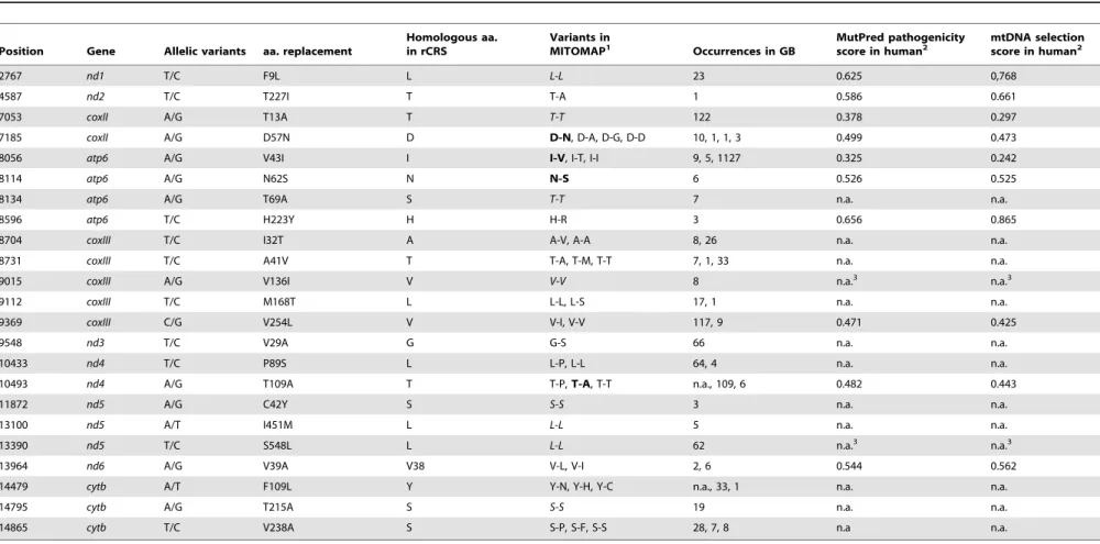 Table 1. Comparative analysis of the 23 non-synonymous substitutions in protein-coding genes inferred in the full set of 30 sequences.
