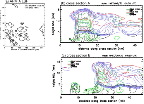 Fig. 9. (a) Cloud ice mixing ratio contours for the ARM A LSF run at about 11296 m above mean sea level on 30 June, 1:30 UTC and locations of cross sections in (b) and (c); (b) and (c): cross sections of hydrometeor mixing ratios with contour levels 0.1, 0