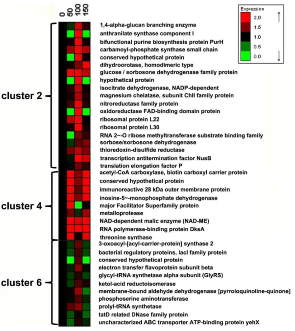 Figure 2. Proteins with significant expression variations of K. vulgare during the subcultivation: corresponding to clusters 2, 4 and 6 in Figure 1.