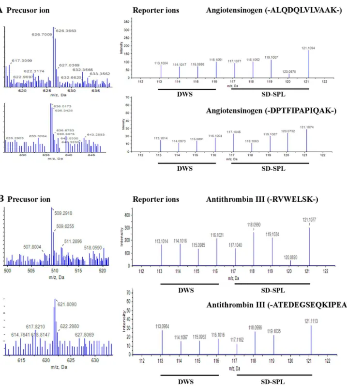 Fig 2. Identification of angiotensinogen (AGT) and antithrombin III (AT III) proteins