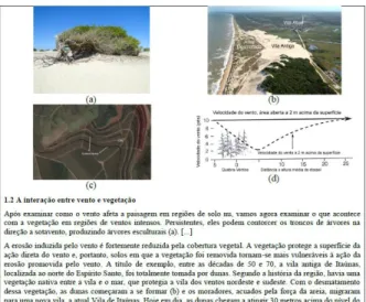 Figura 8 – Interação entre vento e vegetação - texto do material didáti- didáti-co multimídia 