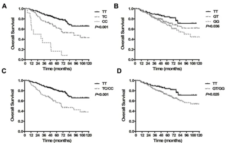 Figure  1.    Kaplan-Meier  curves  for  overall  survival  in  patients  with  locoregionally  advanced  nasopharyngeal  carcinoma treated with cisplatin- and fluorouracil-based chemoradiotherapy