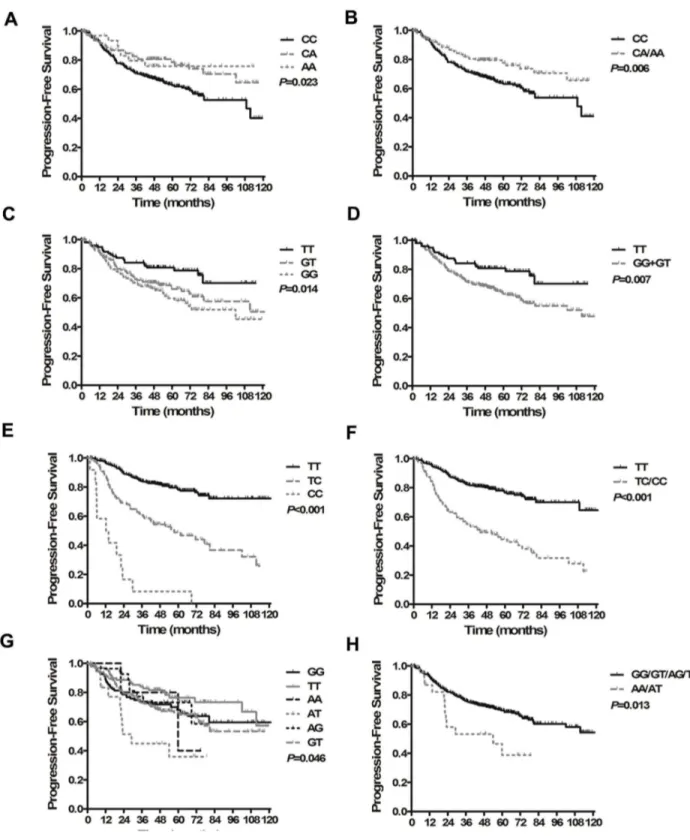 Figure  2.    Kaplan-Meier  curves  for  progression-free  survival  in  patients  with  locoregionally  advanced  nasopharyngeal carcinoma  treated  with  cisplatin-  and  fluorouracil-based  chemoradiotherapy