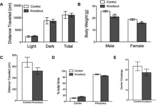 Figure 2. Knockout mice are smaller than normal but have normal spontaneous locomotion, and intact exploratory behavior