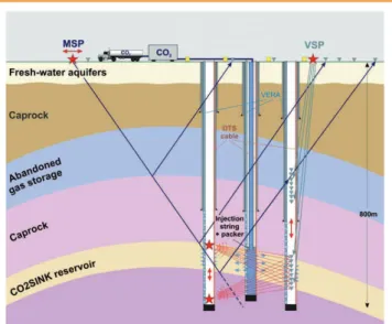 Figure  2. Schematic  concept  of  Ketzin  geology,  drilling,  and   geophysical  monitoring  including  moving  source  seismic  profiling  (MSP), vertical seismic profiling (VSP), cross-hole seismics, surface  3-D seismics, and surface and cross-hole ge