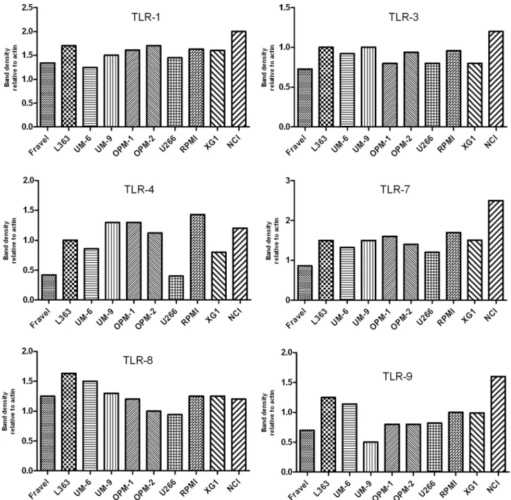 Figure 5. Expression of TLR1, TLR3, TLR4, TLR7, TLR8, and TLR9 for HMCLs. The expression was calculated as densitometric ratio of TLR to actin as determined by immunoblotting.