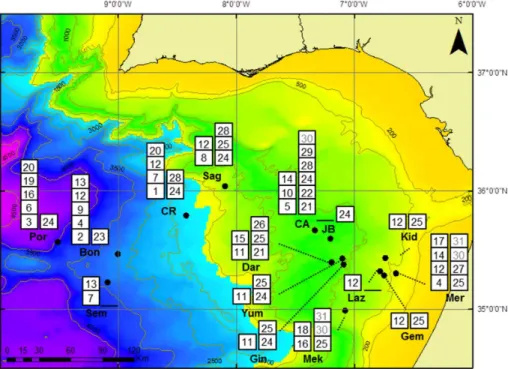 Fig. 1. Map of the Gulf of Cadiz showing the chemosymbiotic species distribution. Siboglin- Siboglin-idae species: 1