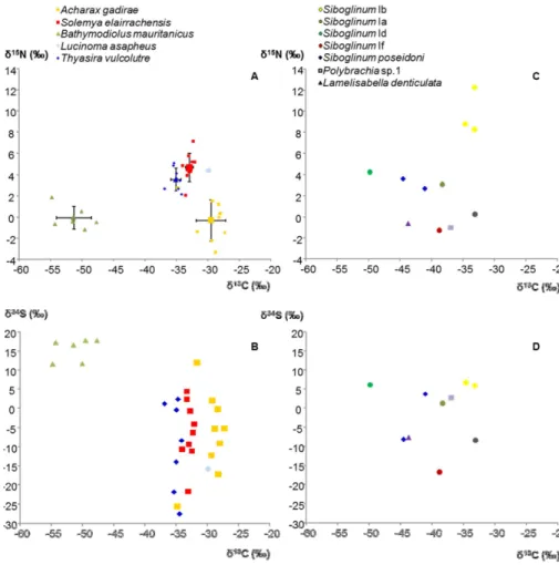 Fig. 2. Mean values (after Table II) of δ 13 C vs. δ 15 N and δ 13 C vs. δ 34 S for Bivalvia (A, B) and Frenulata (C, D) species from the Gulf of Cadiz