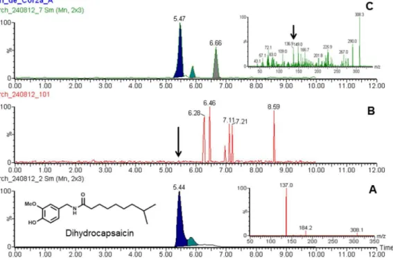 Figure 5. UPLC/MS-MS chromatograms illustrating (a) Standard dihydrocapsaicin (b) Blank (c) Representative Corza sample confirming the presence of dihydrocapsaicin