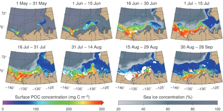 Fig. 3. MERIS composites of surface POC concentrations from May to September 2009 in the southeast Beaufort Sea as estimated with an empirical relationship established between in situ POC and the blue-to-green ratio of remote-sensing reflectance (490, 560 