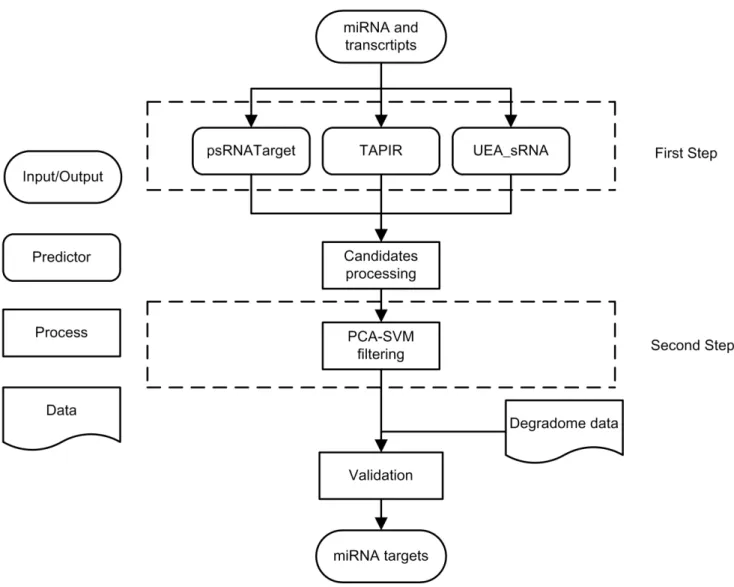 Table 1. Information of three online predictors for plant miRNA targets.