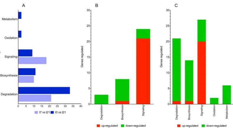 Fig 3. Representative canonical pathways study using the ingenuity pathway analysis (IPA) tool