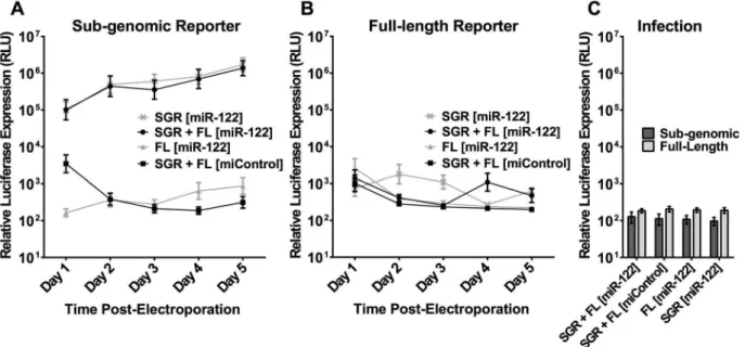 Figure 5. The inability of full-length HCV RNA to replicate in NCoA6 knockout MEFs cannot be complemented by sub-genomic HCV RNA, and sub-genomic RNA is not packaged into particles when co-electroporated with full-length HCV RNA