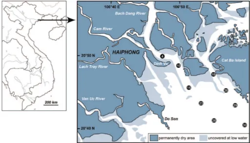 Fig. 1. Map of the sample stations measured during each cruise.