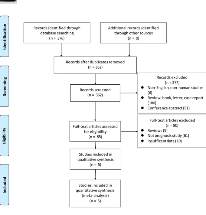 Fig 1. Flowchart of the study selection process.