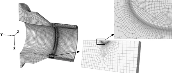 Figure 5: Mesh of the finite element model.   